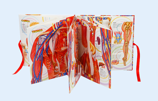 pop-up book